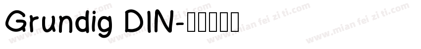 Grundig DIN字体转换